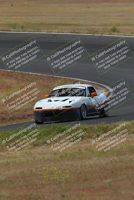 media/May-04-2024-Lucky Dog Racing (Sat) [[d39539b3f3]]/Race Pics/1015am (Turn 2)/